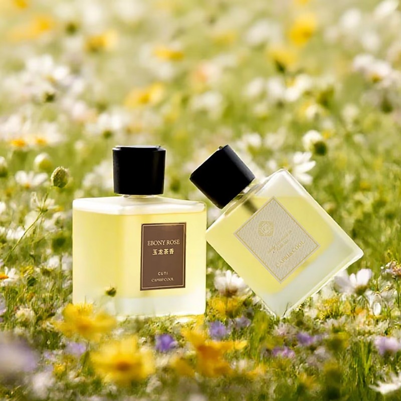 Home Living Room Fresh Fragran - مراجعة Home Fragrance Room Spray وسعره