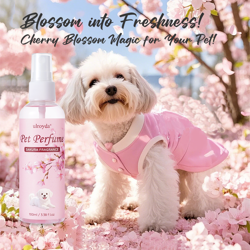 Sakura Pet Perfume Spray Long  - مراجعة Home Fragrance Room Spray وسعره